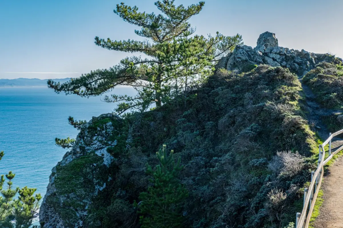 Serra verde com pinheiros sobre o oceano azul no Algarve fora de época