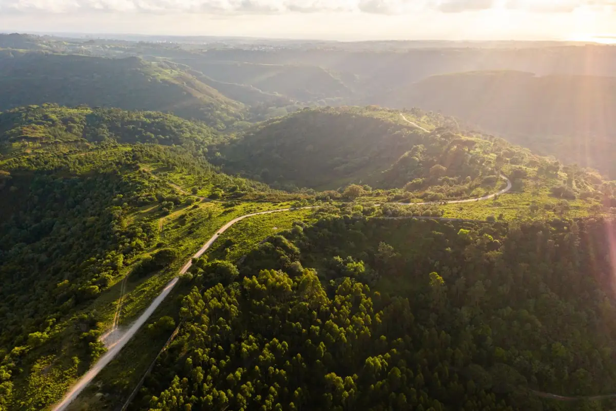 Colinas verdes e estradas sinuosas da Serra de Monchique ao amanhecer