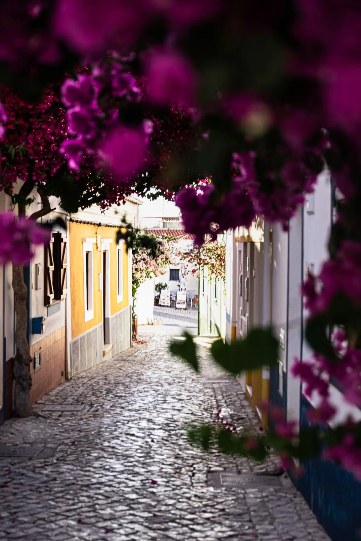 Viela de Ferragudo com buganvílias e calçada portuguesa entre casas brancas