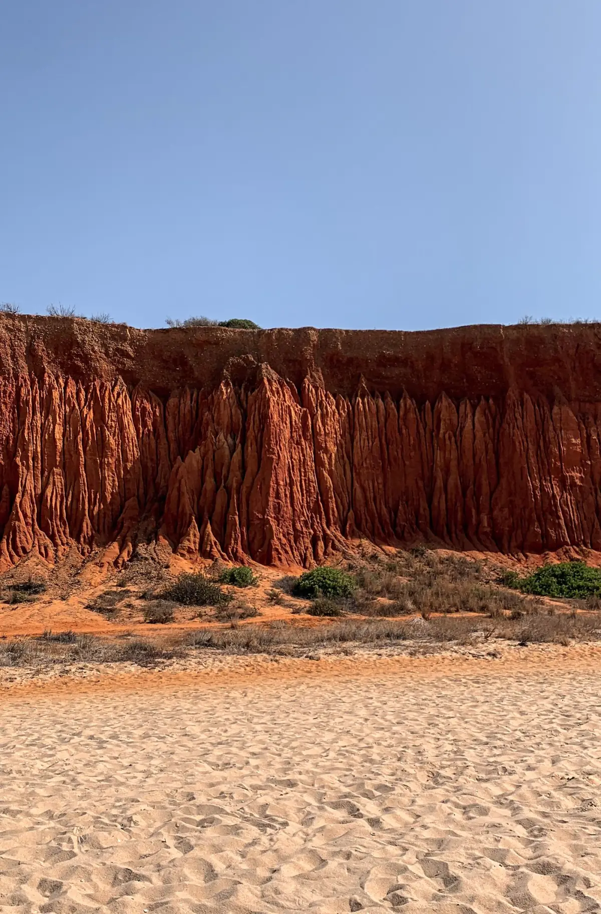 Falésias verticais de arenito no Algarve junto à Praia do Vau, em Portimão