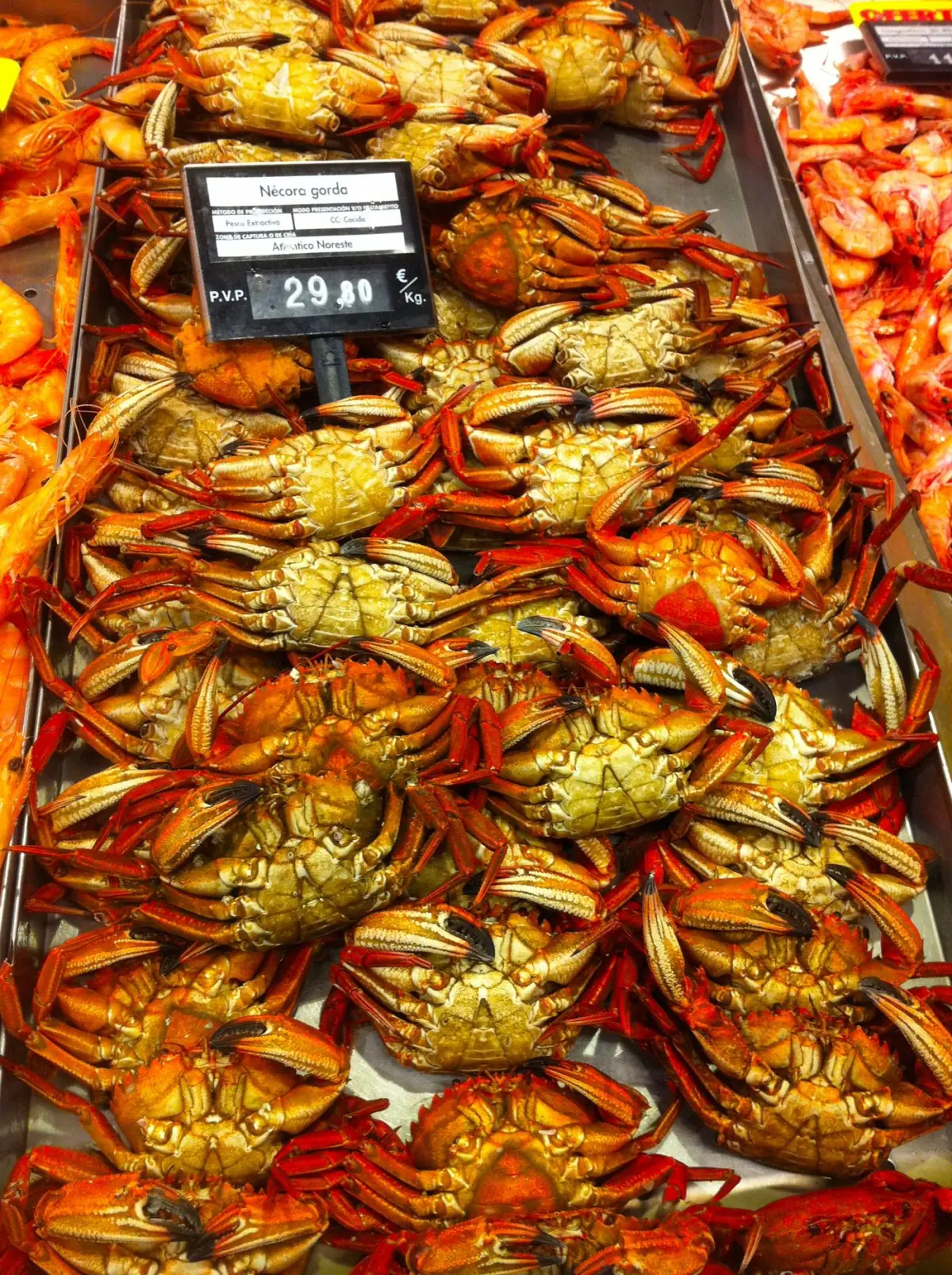 Marisco fresco numa banca de mercado do Sotavento algarvio, com caranguejos e crustáceos sobre gelo