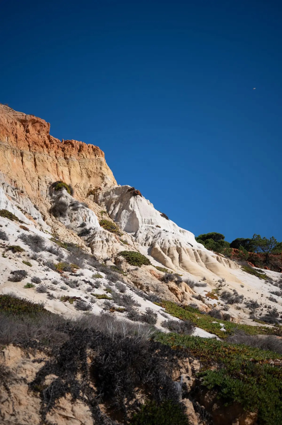 Falésias de arenito sob céu azul na zona de Albufeira, com tons vermelhos e ocre