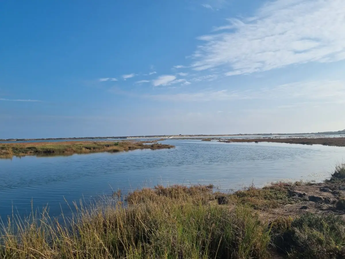 Zonas húmidas tranquilas da Ria Formosa perto de Cabanas de Tavira ao amanhecer