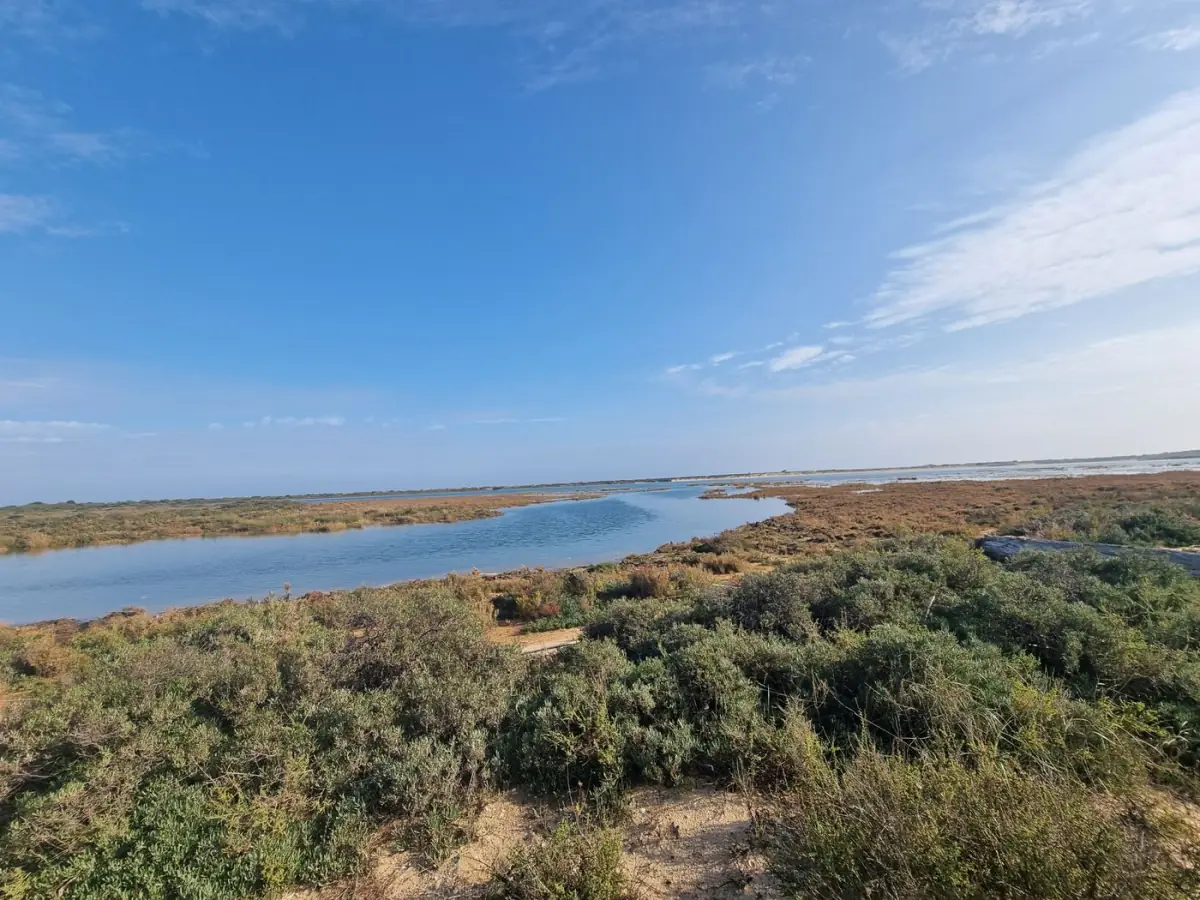 Sapais e lagunas da Ria Formosa sob céu azul, junto à Quinta do Lago