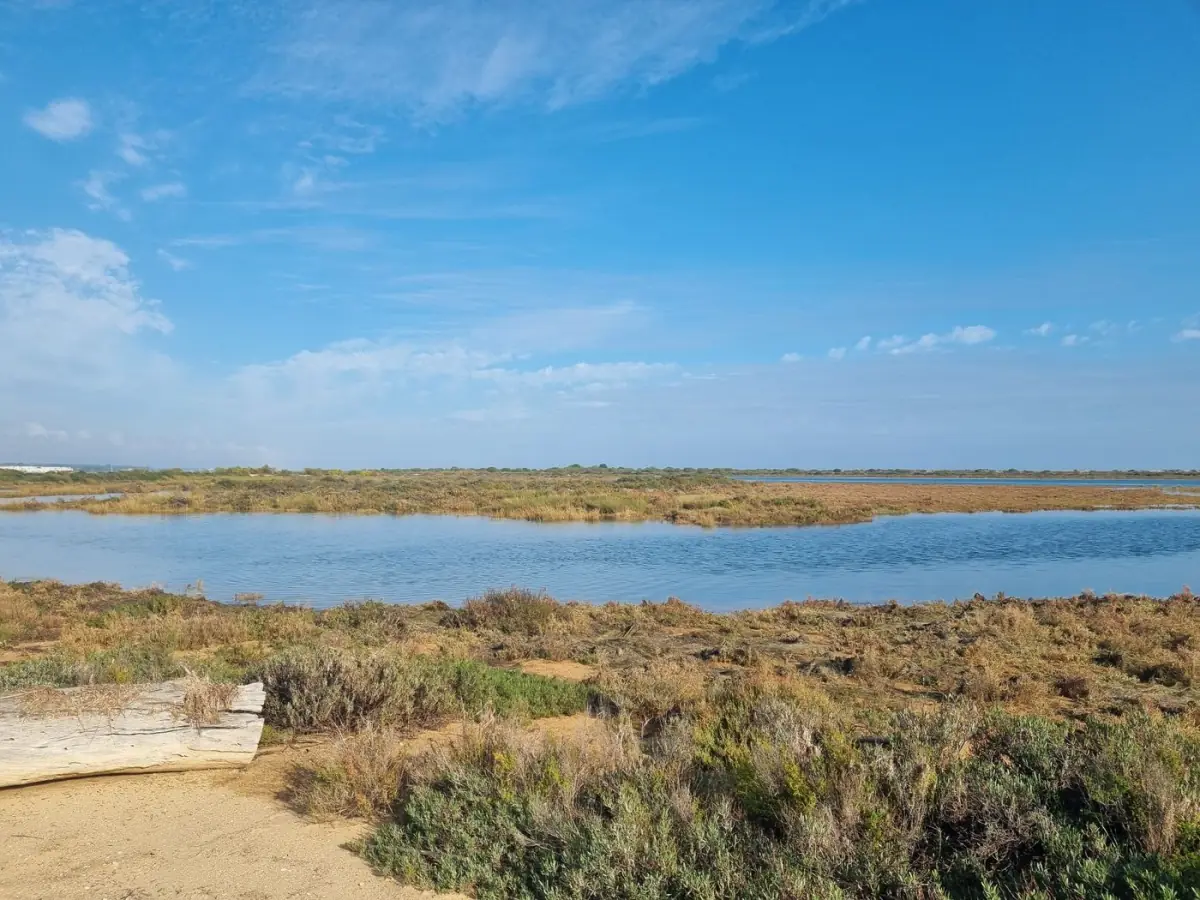Lagoa dos Salgados com vegetação ribeirinha e espelho de água junto à Praia da Galé