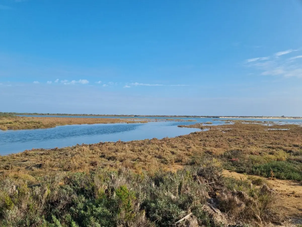 Sapais da Ria Formosa refletidos na água calma ao entardecer perto de Cacela Velha