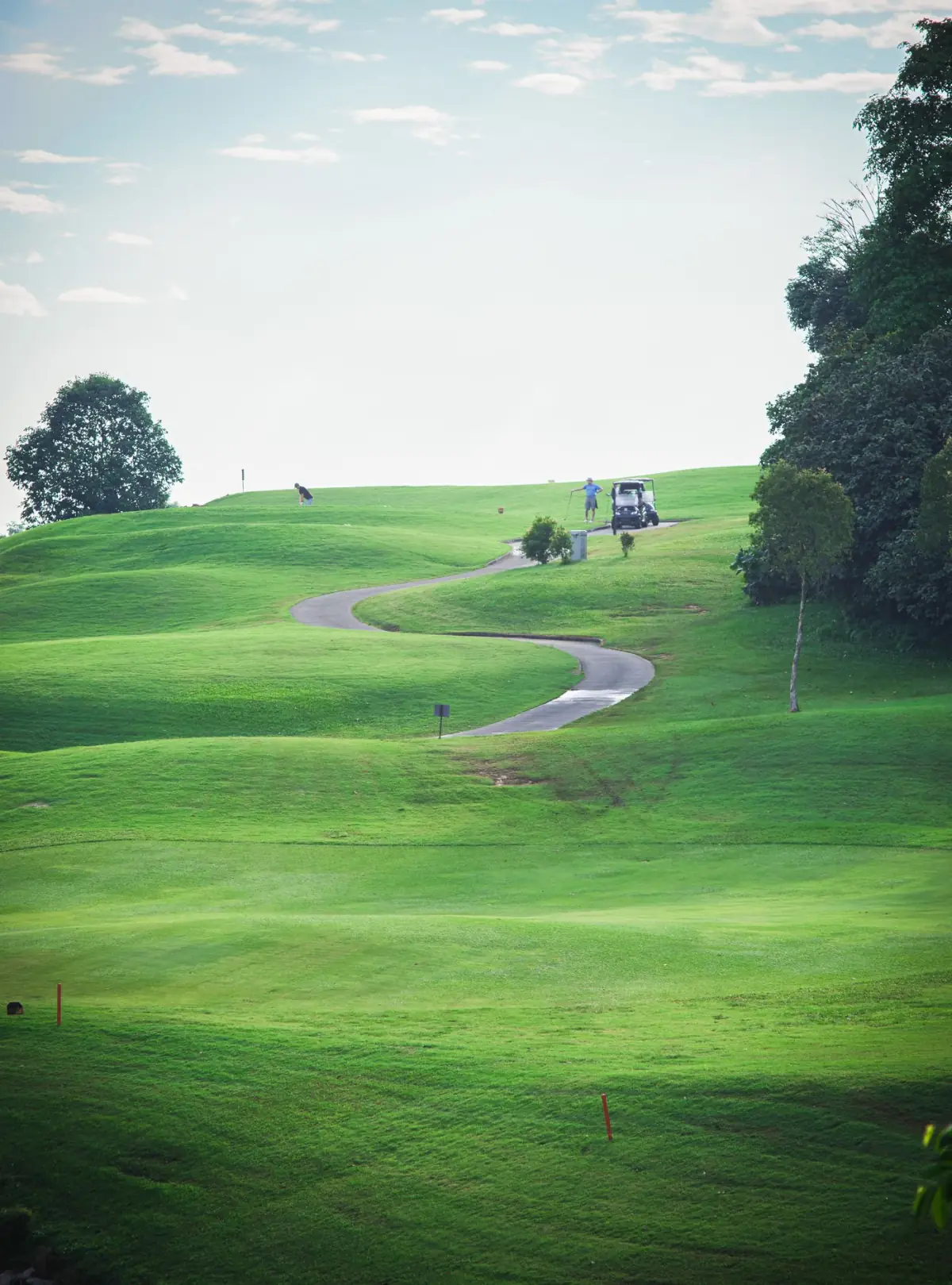 Caminho sinuoso a atravessar a relva de um campo de golfe no Algarve