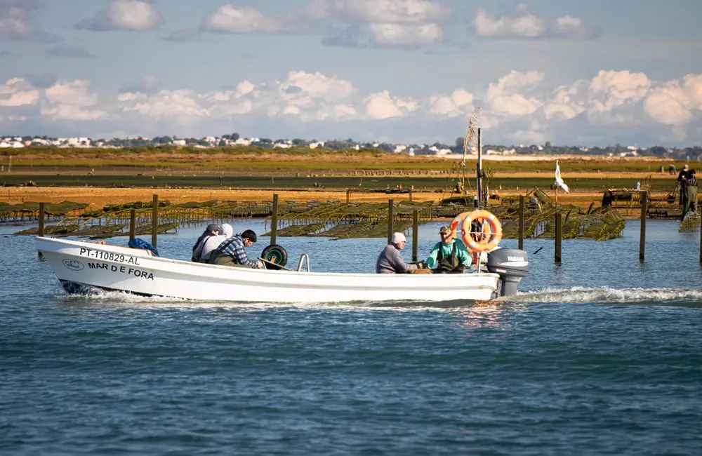 Arenales y laguna de la Ria Formosa en el Sotavento del Algarve
