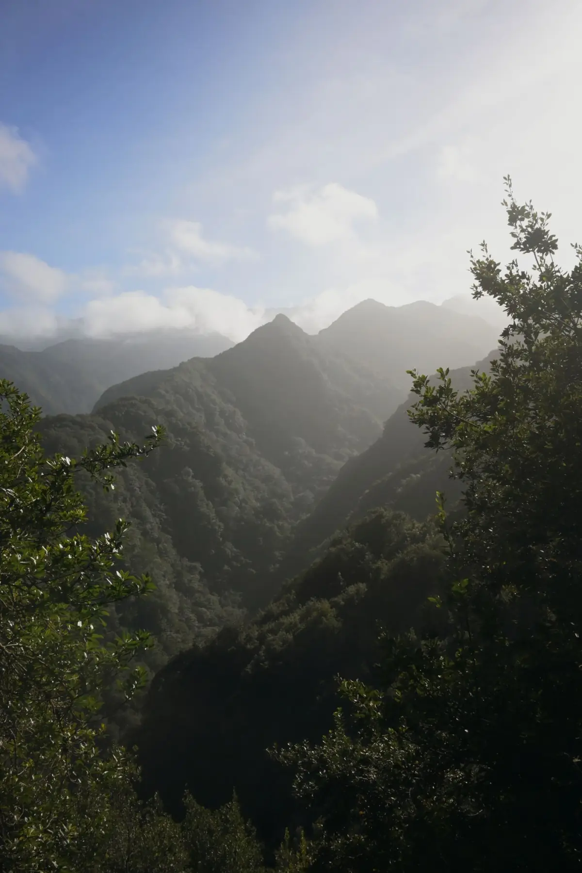 Serra verde e enevoada do interior algarvio sob céu suave