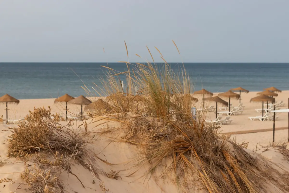 Guarda-sóis de palha alinhados no areal da praia de Monte Gordo num dia de verão