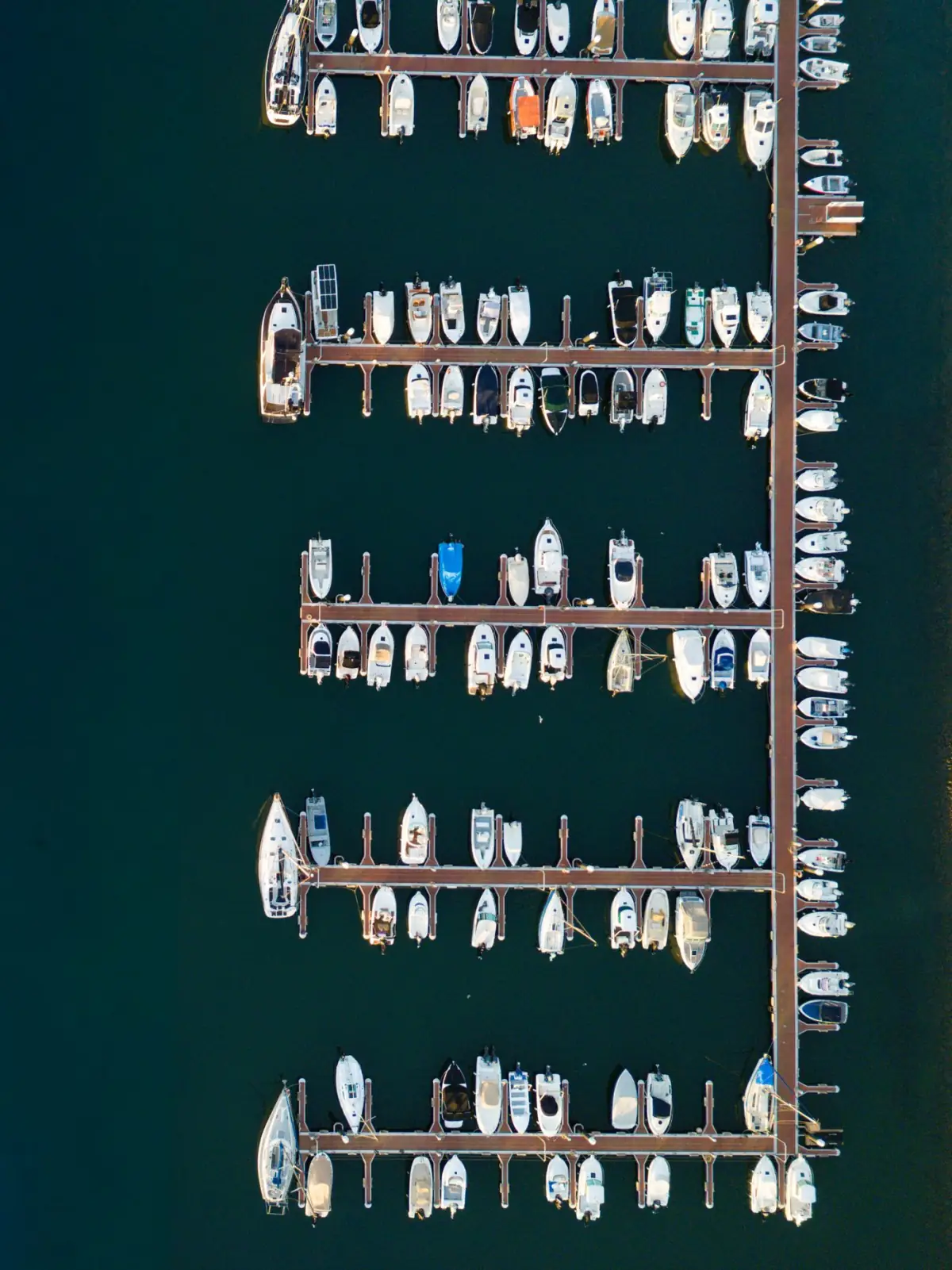 Vista aérea da marina de Olhão, no Sotavento do Algarve, com barcos atracados junto à Ria Formosa