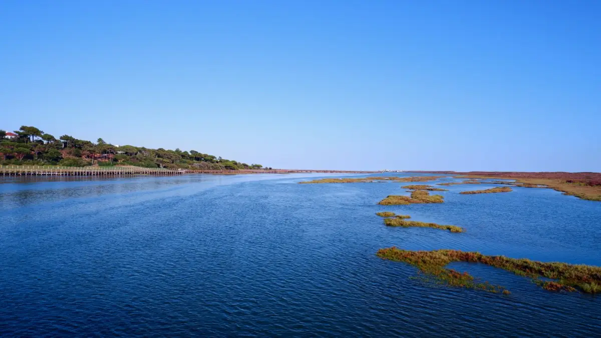 Laguna tranquila com canais de água e sapal na reserva natural da Ria Formosa, na costa de Faro