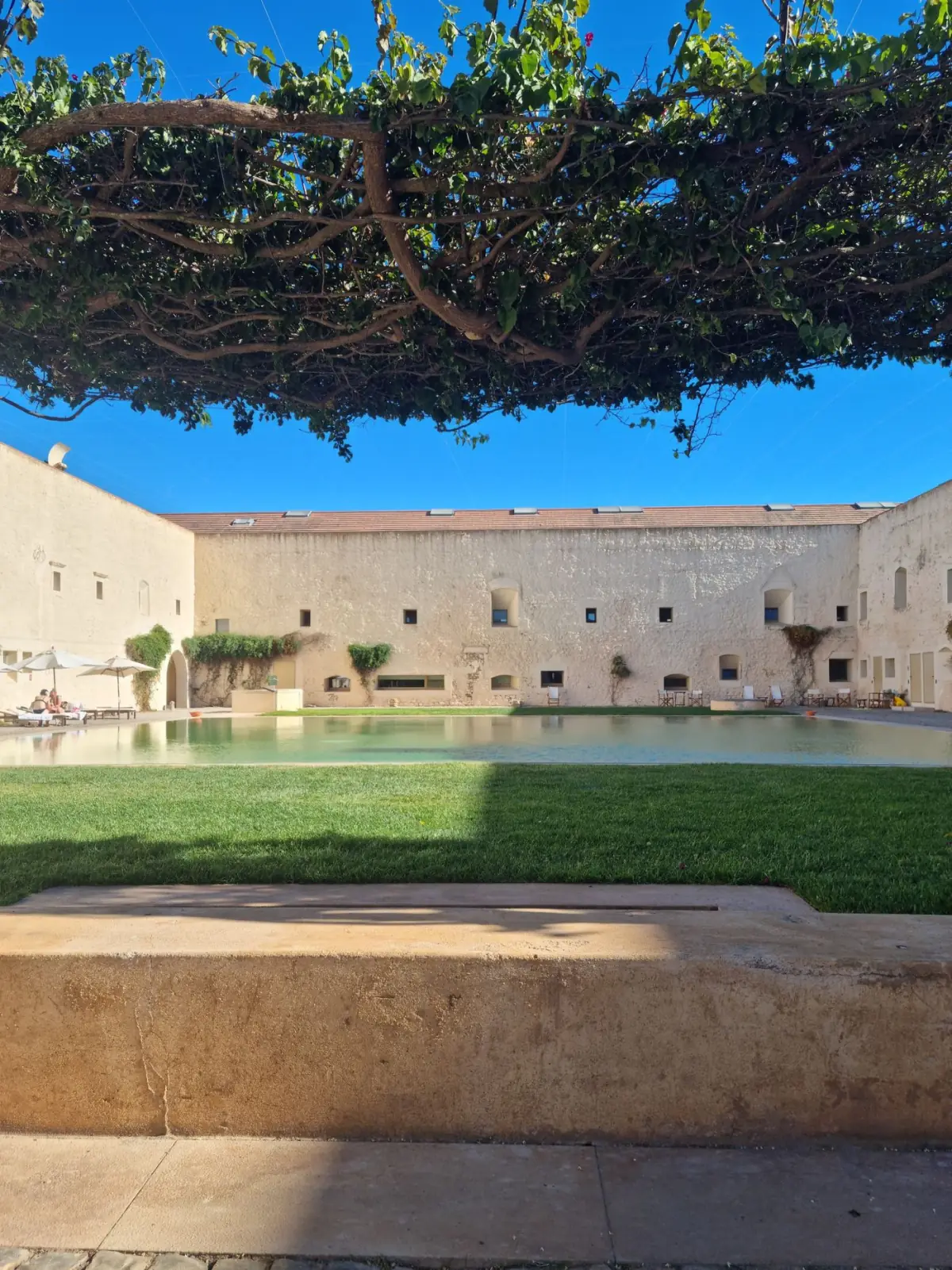 Pátio-jardim histórico em Tavira com vegetação e arquitetura tradicional algarvia