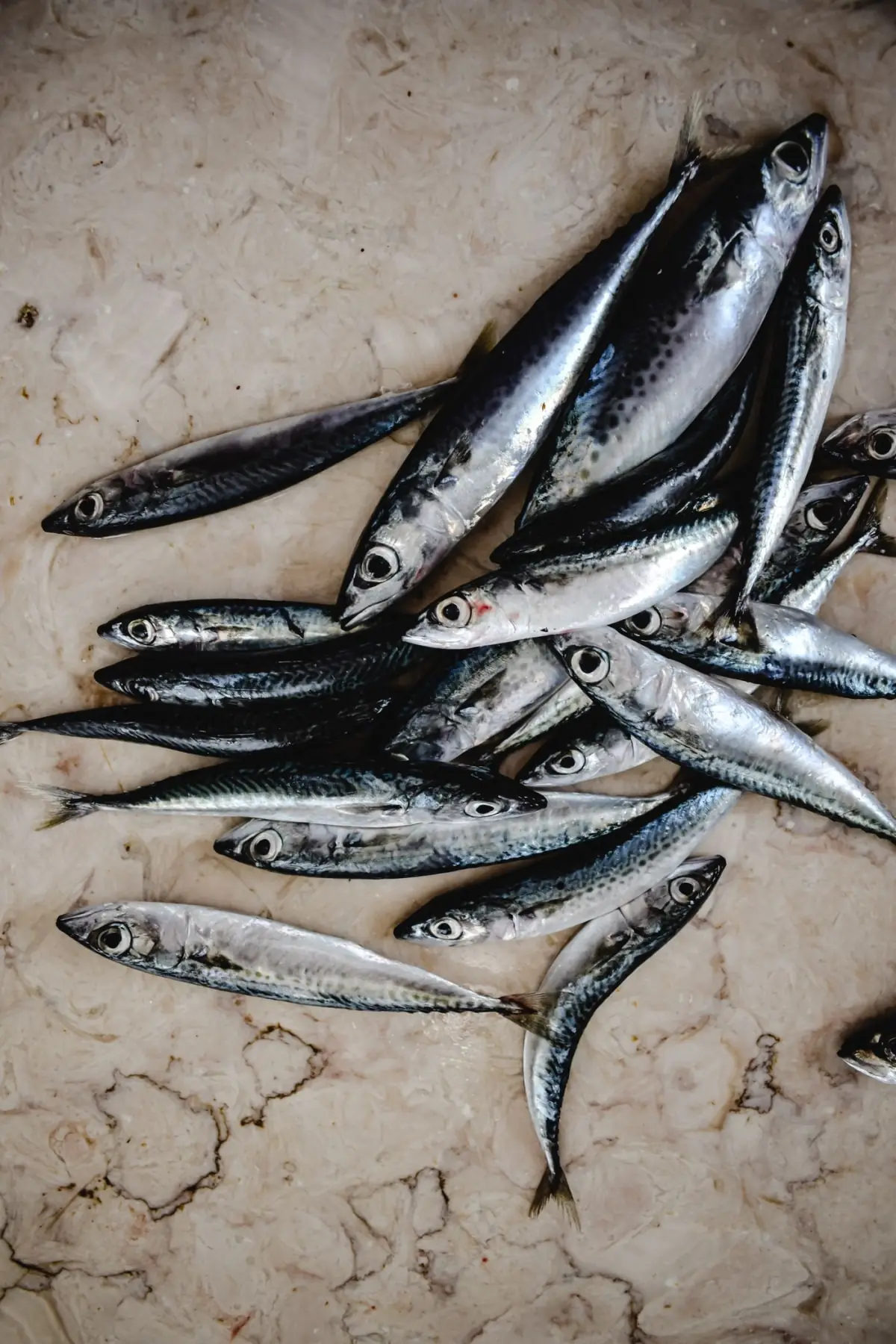 Sardinhas frescas prontas para grelhar, peixe típico do verão algarvio