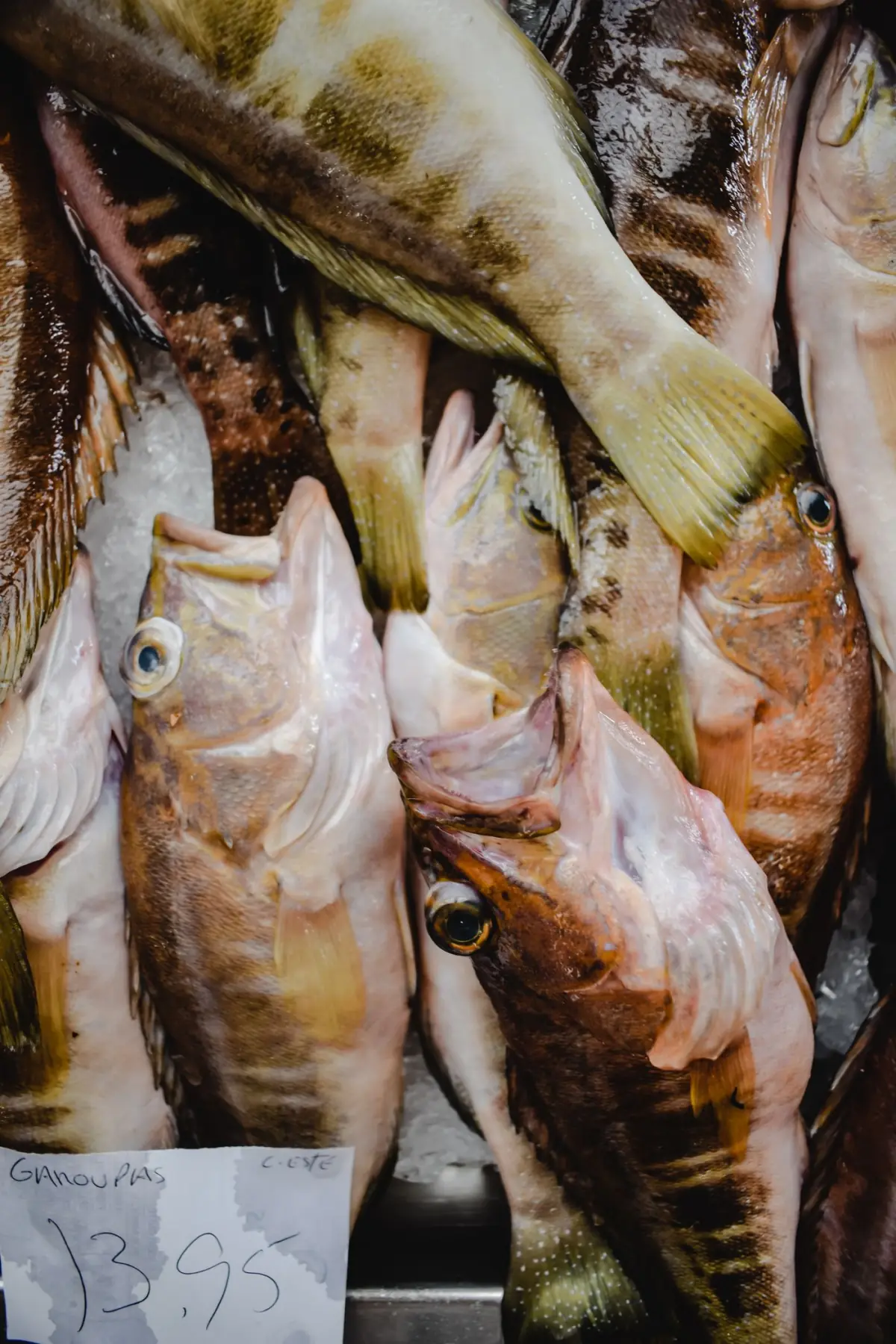 Banca de peixe fresco num mercado do Algarve, com peixe disposto sobre gelo