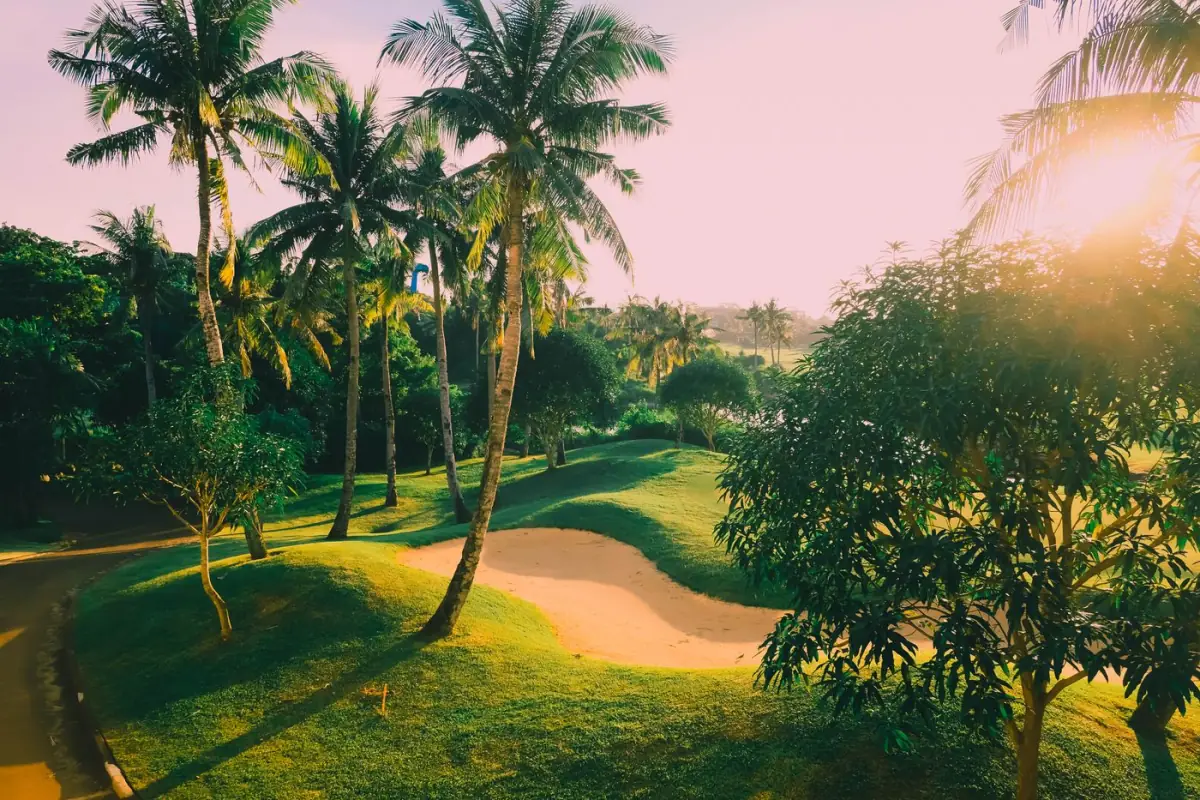 Campo de golfe verdejante com palmeiras e bunkers de areia branca ao sol do Algarve